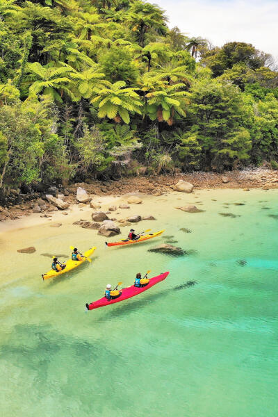 Abel Tasman National Park: Kayak, Walk, Water Taxi, Accommodation