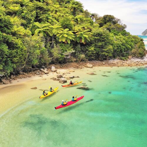 Abel Tasman 5 Day Guided Kayak & Walk - Wilson Abel Tasman